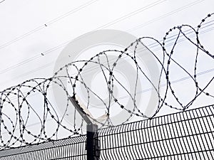 Outline of razor wire coils on a perimeter fence. Maximum security, prison, border control concept. Prison fence and border wall.