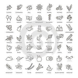 Outline set of condiment vector icons