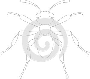 carpenterant Outline Silhouette Generative Ai photo