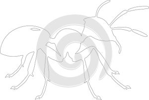 carpenterant Outline Silhouette Generative Ai photo