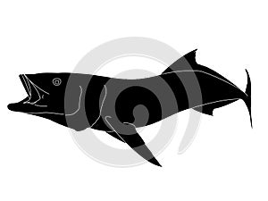 An outline silhouette design Cobia Fish in action