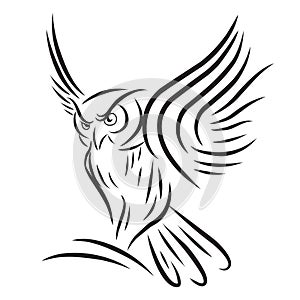 Outline style owl icon vector on the white background