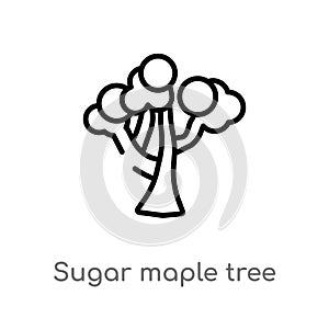 outline sugar maple tree vector icon. isolated black simple line element illustration from nature concept. editable vector stroke