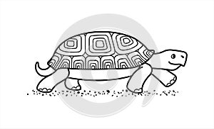 Outline vector cute land tortoise with patterned shell, side view; isolated on a white background; symbol of slowness; contour