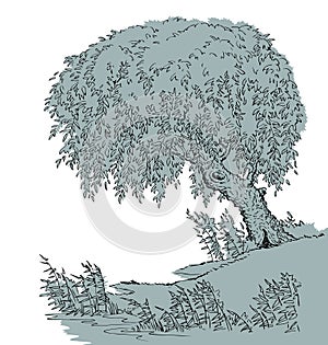 Vector drawing. Tree at the lake