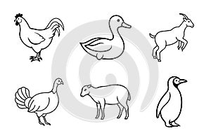 Black and White Line Art of Wild Animals Collection