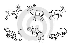 Black and White Line Art of Wild Animals Collection