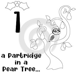 Outlined The 12 Days of Christmas - 1-St Day - A Partridge In A Pear Tree