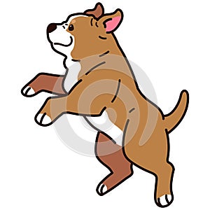 Outlined adorable and simple Pitbull jumping and playing