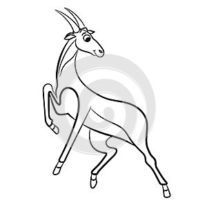 Outlined antelope vector illustration