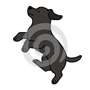 Outlined black Labrador jumping in side view illustration