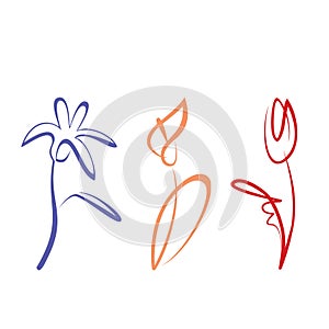 Outlined flower collection