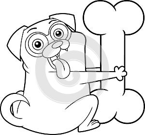 Outlined Funny Pug Dog Cartoon Character Holds A Big Bone