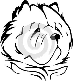 Outlined portrait of Chow Chow dog
