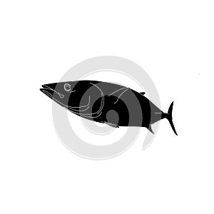 An outlined silhouette of a skipjack tuna fish swimming