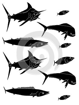 Outlined silhouettes of offshore pelagic fish