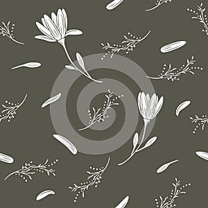 Outlined white flowers isolated on dark background