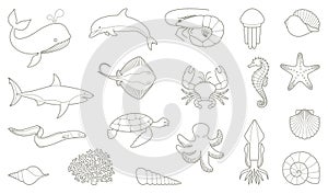 The outlines of fish and other sea creatures photo