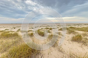 Outlook over Coastal Dunes at North Sea