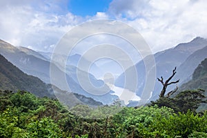 Outlook to Doubtful Sound Fiordland National Park New Zealand