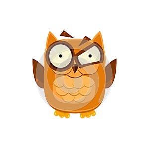 Outraged Brown Owl