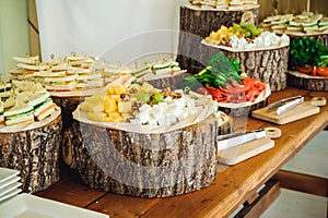 Outside Catering buffet table with a delicious food for guests of the event in rustic style. Service at business meeting, party, w