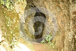 outside entry of arwah cave sohora