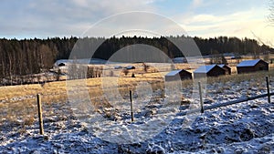 Outside a fence in a winter landscape