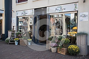 Outside of flower florist shop store showing entrance, window display, sign and branding