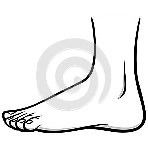 Outside Foot Illustration