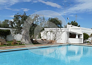 Outside infinity swimming pool in a luxury villa