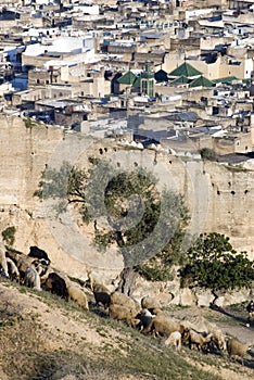 Outside of Medina, Fes, Morocco