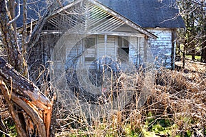 Outside of Old House with Overgrown Plants