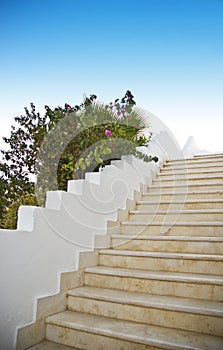 Outside stairway and flowers