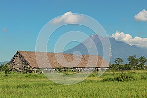 Outside the Tobacco house or Los Tembakau or Los Mbako, warehouse for storing and drying harvested tobacco leaves in Klaten