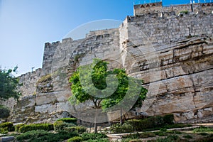 Part of the Wall around Jerusalem Old City built on natural rock