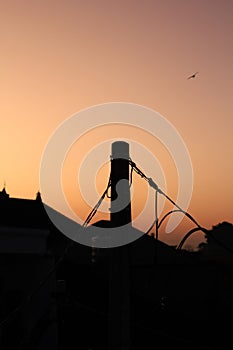 outside the window in the beatifull morning