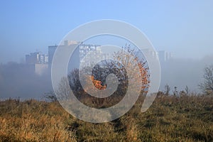 Outskirt of the city in the fog