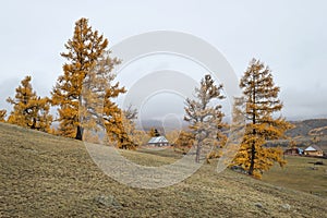 Outskirts of the village in autumn. lonely house on a hill, far from the village