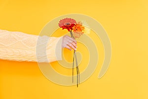 An outstretched hand holding flowers against a yellow background