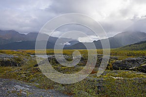 Outwash Plain in Kenai Fjords National Park, Alaska, USA