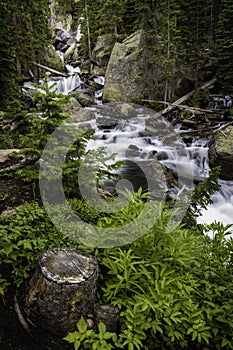 Ouzel Falls in Rocky Mountain National Park Colorado