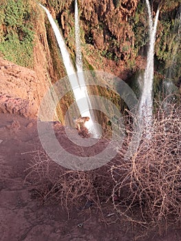 Ouzoud waterfalls Morocco