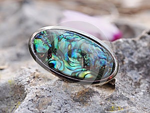 Oval abalone on a light stone background