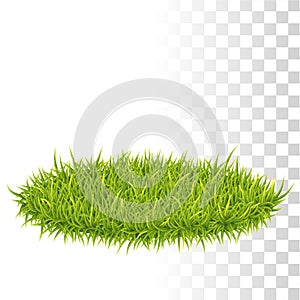 Oval Carpet Of Grass