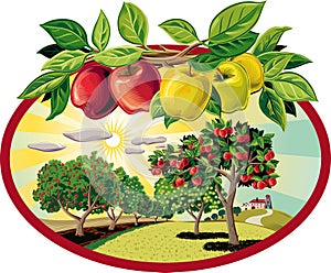 Oval frame with branch of apples on sky background and orchard.