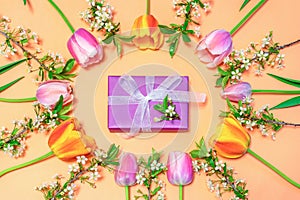 Oval frame made of colorful pink and orange tulips with cherry blossom twigs on peachy background and gift box wrapping in violet