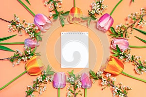 Oval frame made of colorful pink and orange tulips and cherry blossom twigs on peachy paper background with white notebook sheet.