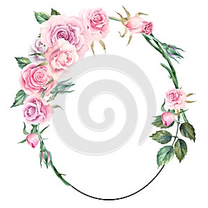 Oval frame with pink roses, leaves and buds on a white background, watercolor hand drawn. Copy space