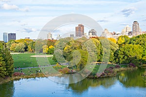 Oval lawn in Central park